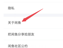 闲鱼怎么查看版本号