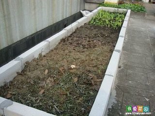 如何打造一个屋顶田园