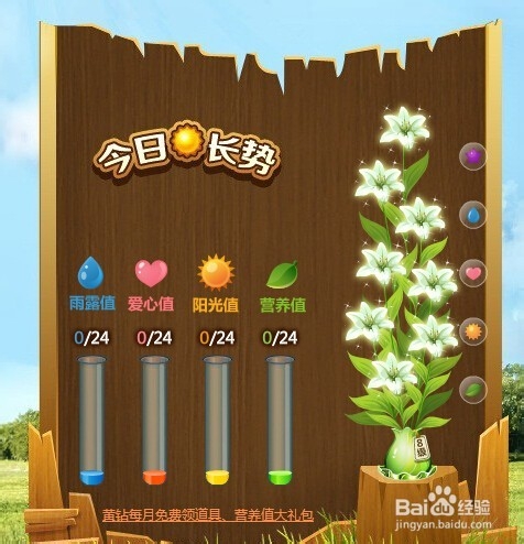 普通用户QQ花藤施肥技巧