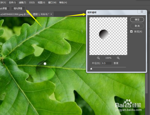 PS小技巧-如何在叶子上制作逼真的水滴