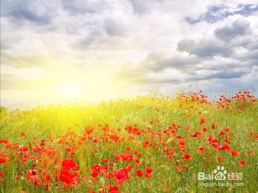 高考前一个月如何调整状态