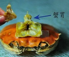 正确吃螃蟹，吃出健康无限极