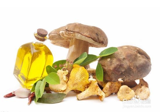 橄榄油护发怎么用正确方法步骤