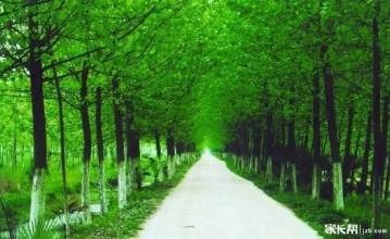 怎样和青春期的孩子相处