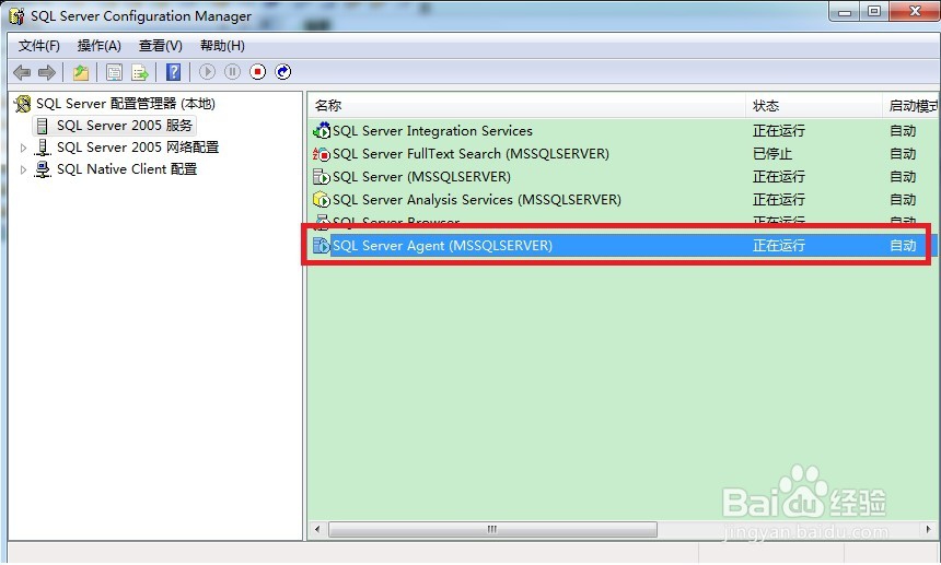 如何设置数据自动备份。
