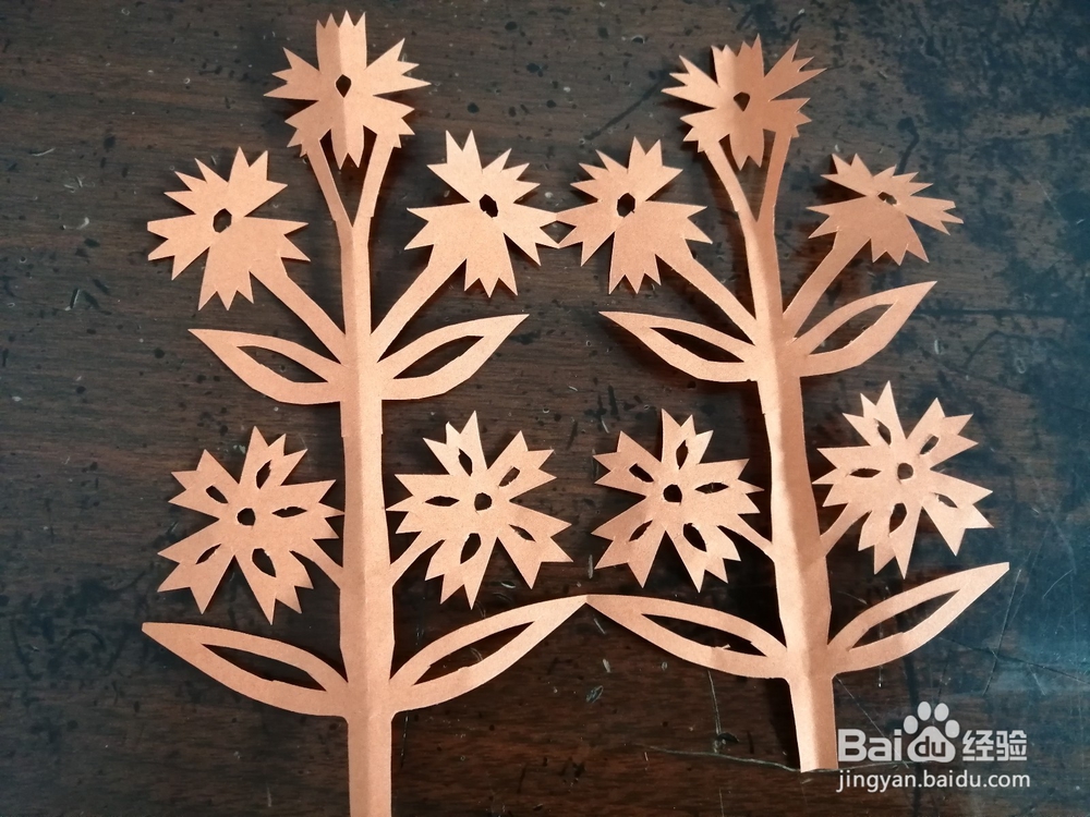 儿童剪纸—石竹花怎么剪