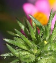 健康生活小知识15