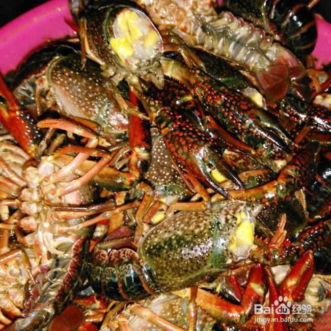 妈妈教我做的蒜蓉小龙虾