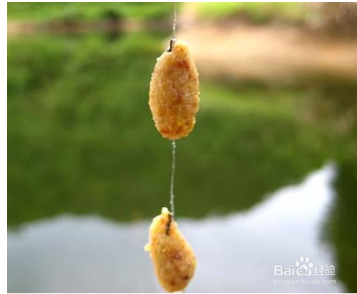 春天如何钓淡水鱼—鲫鱼钓法第1篇