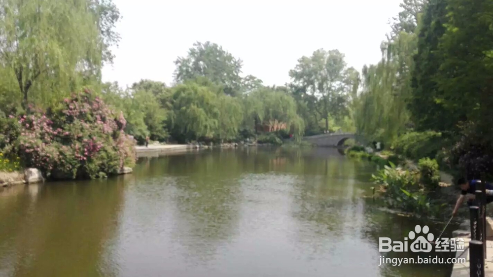 济南大明湖旅游攻略