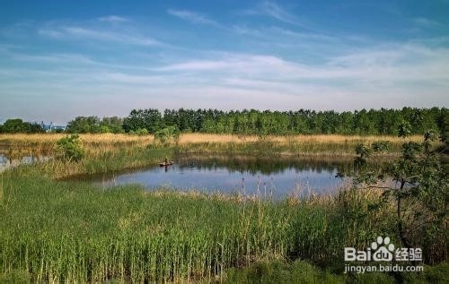 南京八卦洲旅游攻略