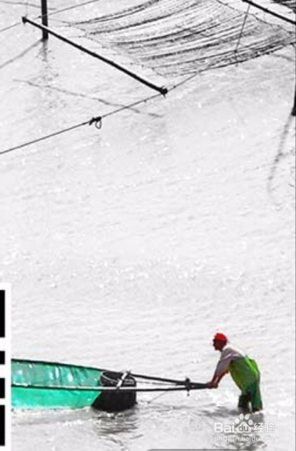 中国电信怎么退定套餐