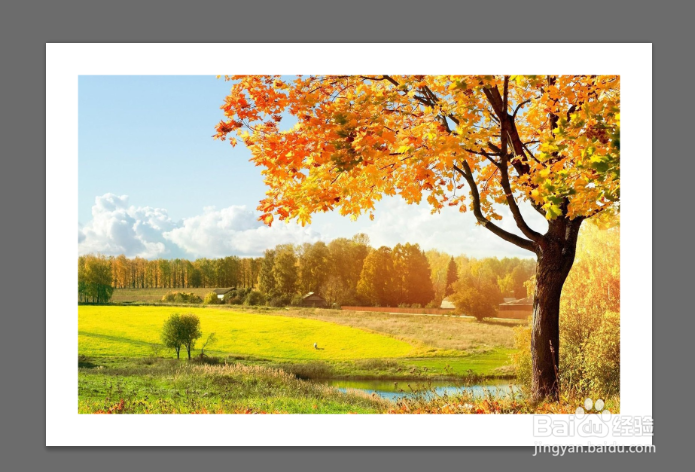 ps给图片加白框