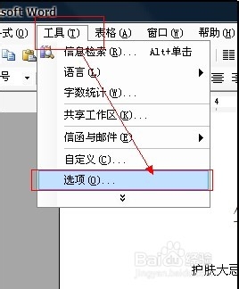 Word工作环境设置技巧：[7]