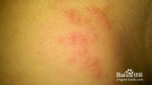 生活贴士之日常饮食