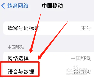 iPhone13如何开启独立5G功能