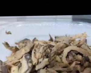 怎么做美味的香酥平菇