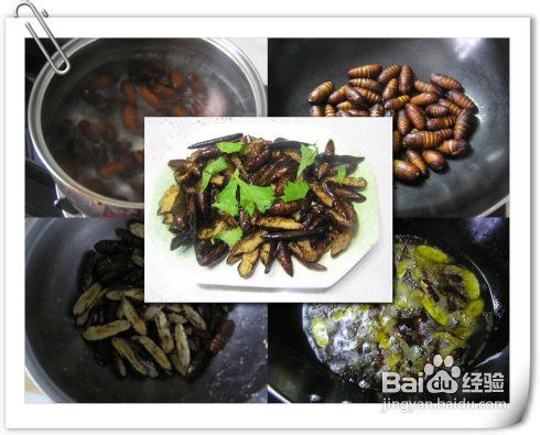 美味自己做——干煸茧蛹