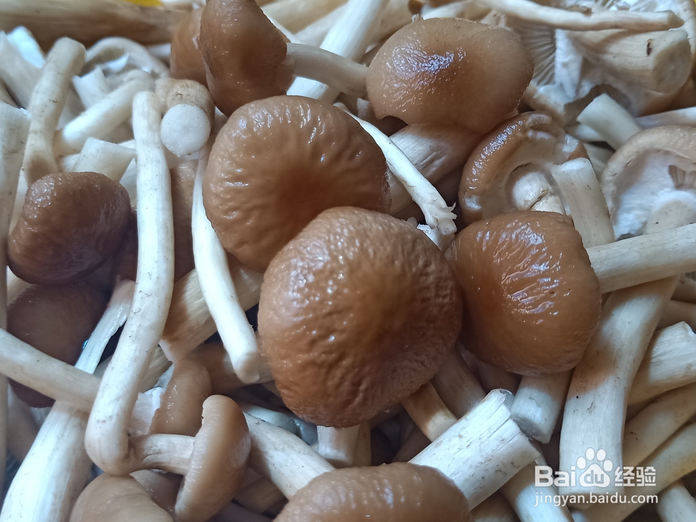 新手易做的茶树菇油条