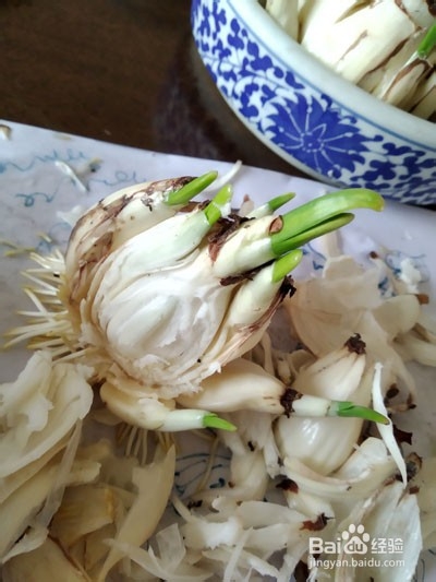 如何雕刻水仙花