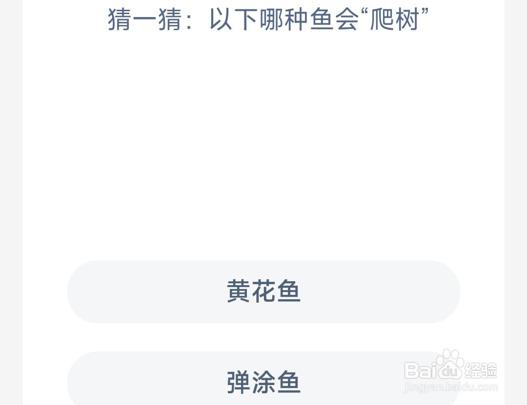 神奇海洋:以下哪种鱼会爬树