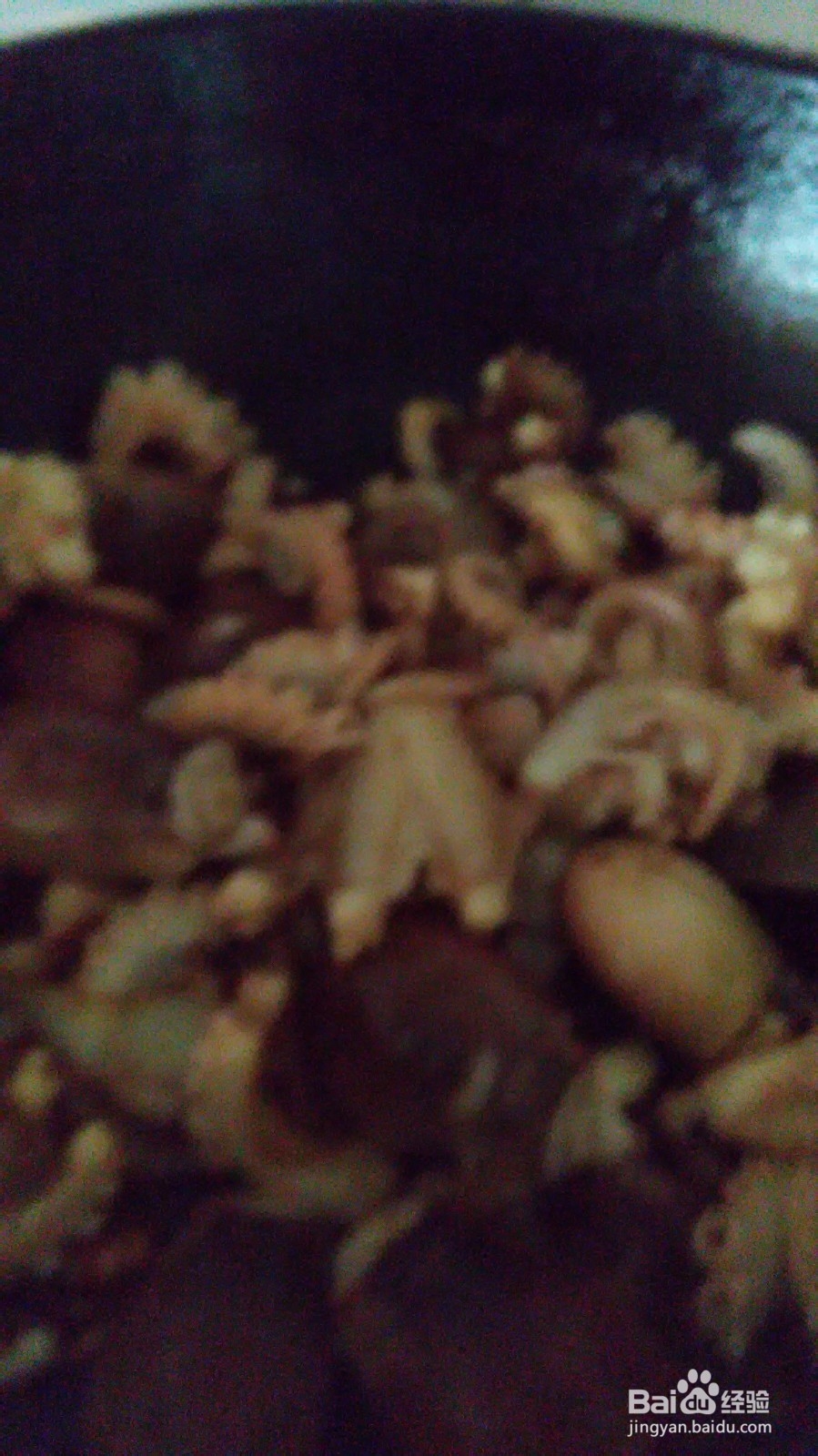 章鱼炖萝卜的做法