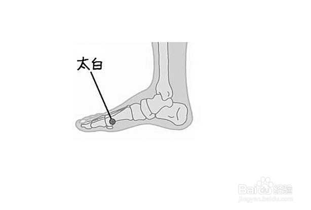 寒露时节需要注意的养生小知识