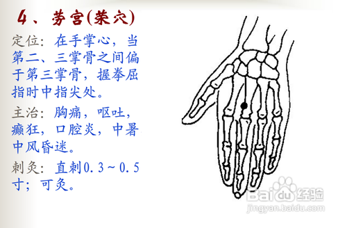 中医经络知识之手厥阴心包经图解