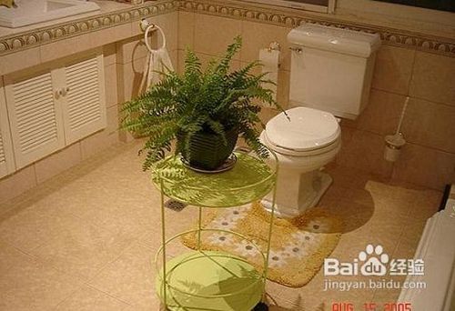 装修注意事项－－卫浴（二）