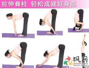 如何才能长的高