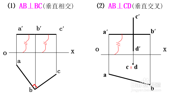 3-4 直线的投影
