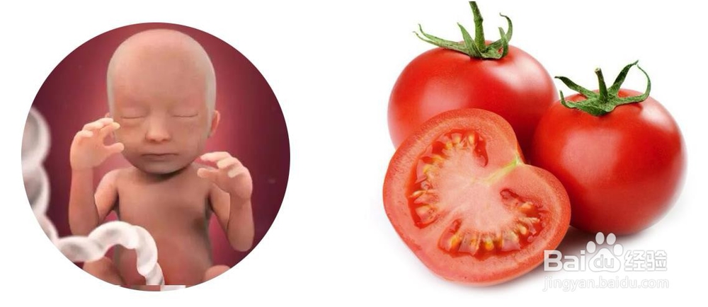 自然分娩是有哪些因素决定的？