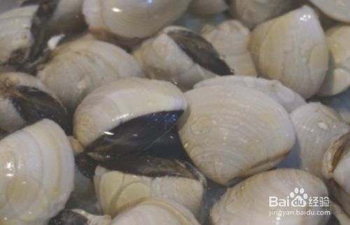 广东白贝汤的做法 百度经验