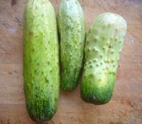 怎样做魔芋黄瓜才是最好吃的做法