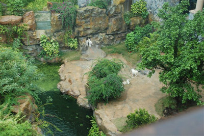 周末游长隆攻略精彩并幸福着