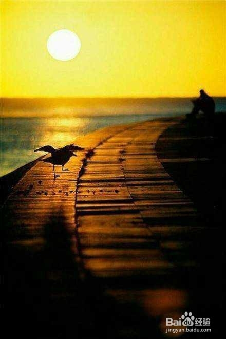 春节坐火车注意事项