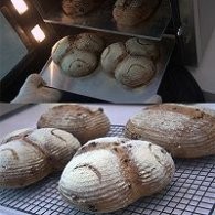 不点外卖122--燕麦核桃干果软欧包