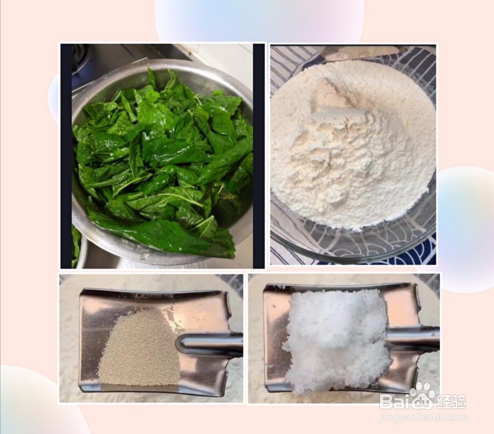自己摘的桑叶怎么处理