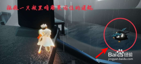 光遇12.21每日任务如何做？