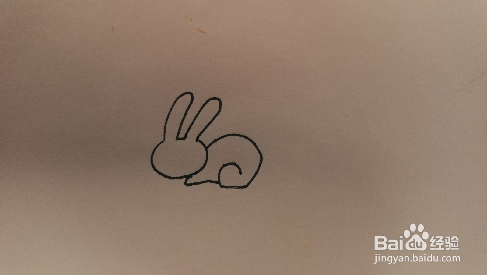 #经验分享官#小兔子简笔画