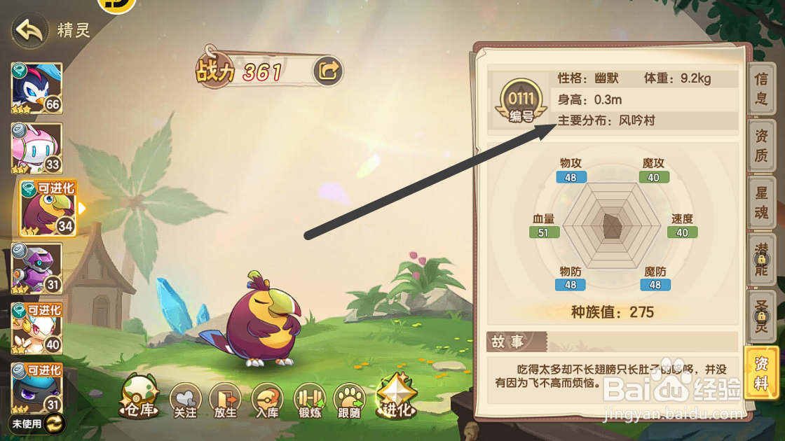 西普大陆如何查看哆哆的【主要分布】？