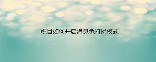 积目如何开启消息免打扰模式