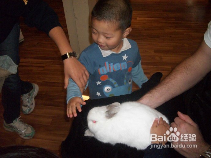 图记止境在幼儿园的这一年