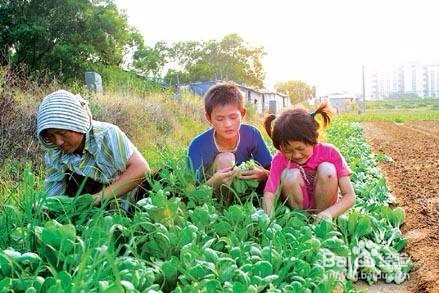 寒假如何安排孩子生活