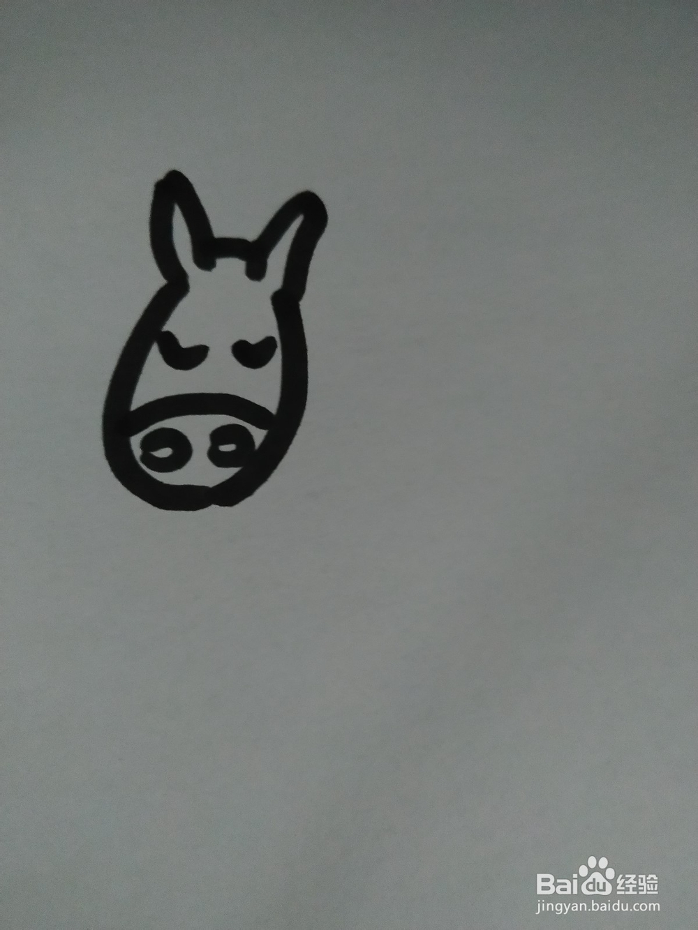 毛驴的简笔画技法16