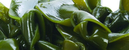 补钙效果最好的十种食物