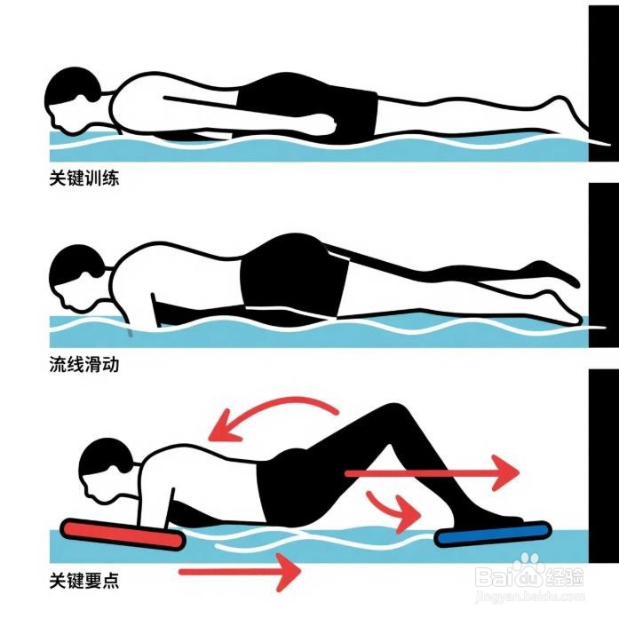 如何快速学会蛙泳，亲测