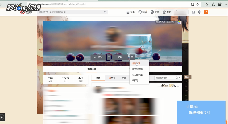 电脑版新浪微博中如何悄悄关注好友
