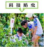 菜博士农场亲子活动方案