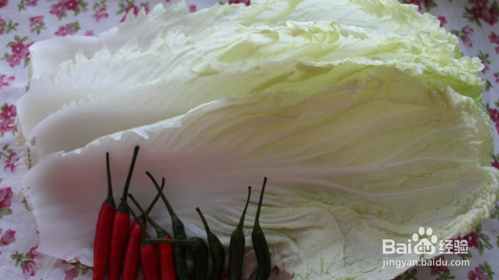 胖子减肥美食 轻松享瘦美食